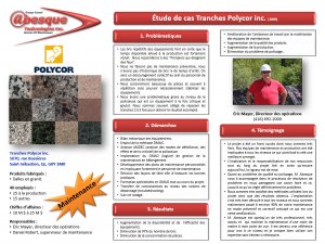 Tranches Polycor, Dalles en granite (2009)